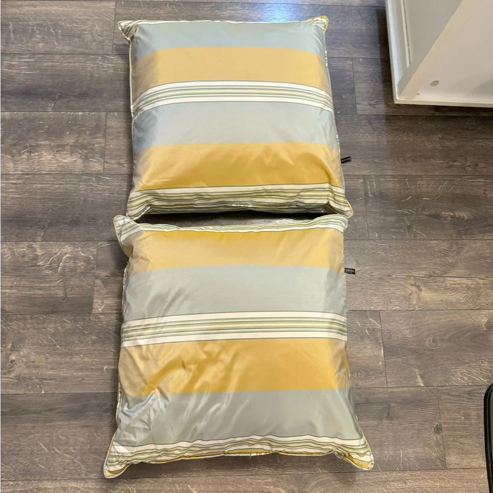 Set of 2 Rodeo Home Feather and Down Throw Pillows